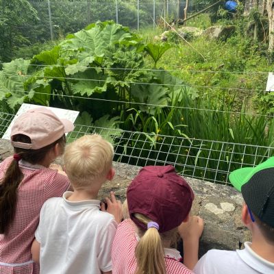 Year 2 Dartmoor Zoo Trip