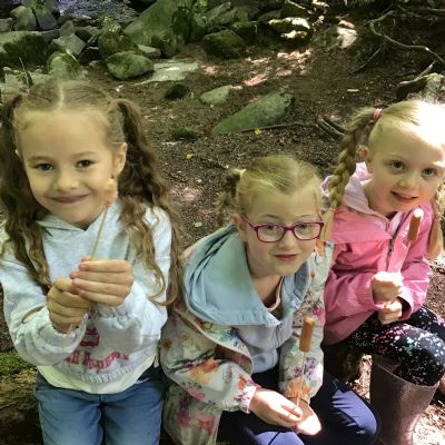 Year 1 Long Timber Woods
