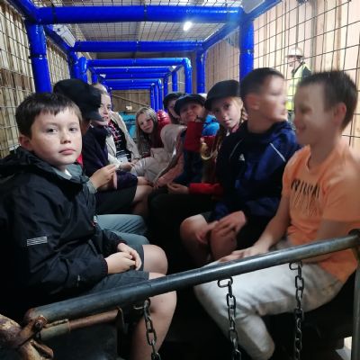 Year 6 Morwellham Quay Trip