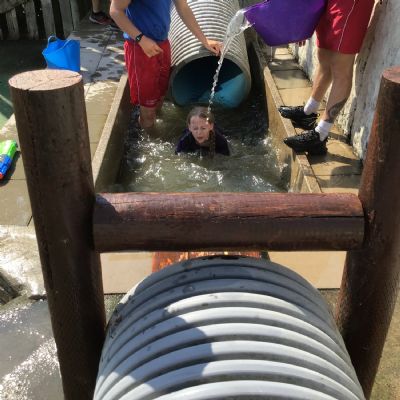 IMG1268